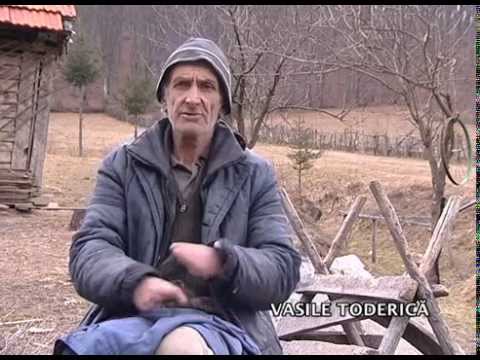 Ajutor pentru Nea Vasile Toderică
