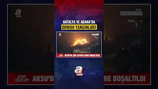 Antalya Ve Adana'da Orman Yangınları | A Haber