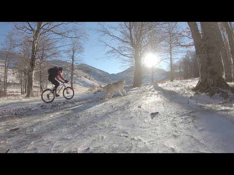 Dinara MTB + Trail running - Outdoors Croatia