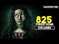 You Can T Find This SECRET HAUNTED HOUSE 825 Forest Road Explained In Hindi Haunting Tube