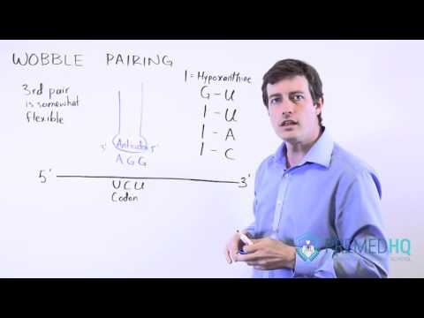 Wobble Pairing Study Tips
