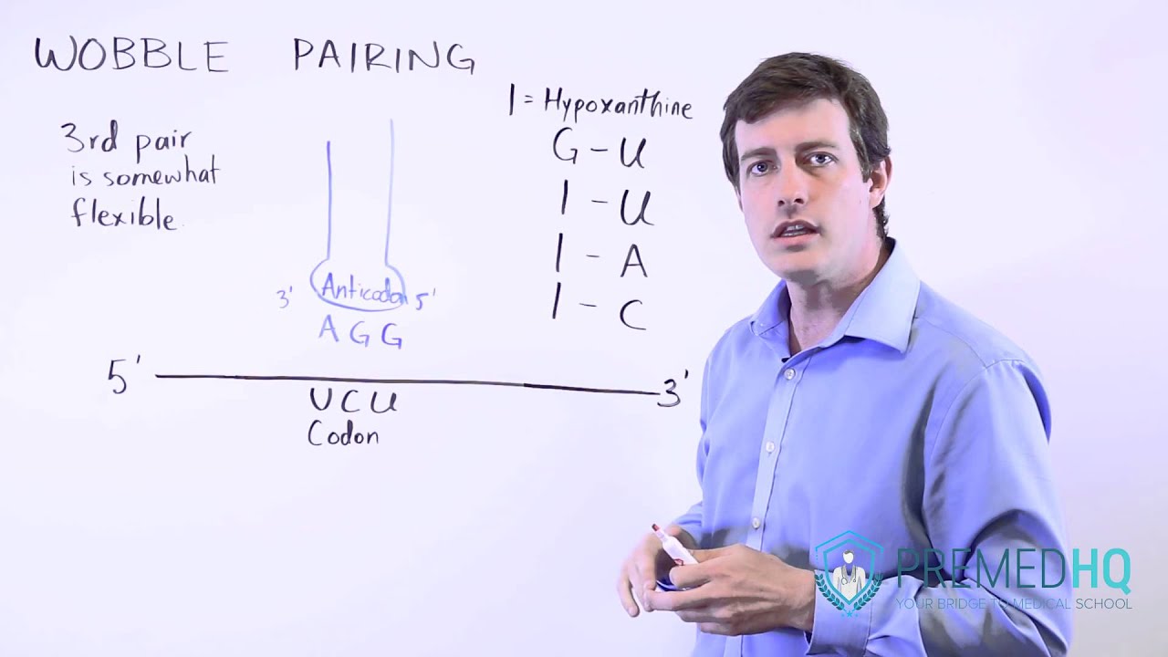 Wobble Pairing Study Tips