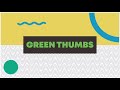 Aadi Pattam Thedi Vidhai I Seedling Transplantation I Creeper Seeds Sowing I Terrace Gardening Video