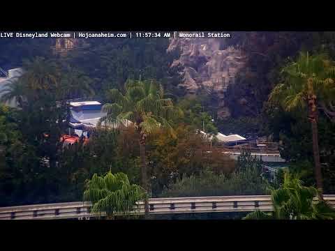 Live webcam of Disneyland Cam