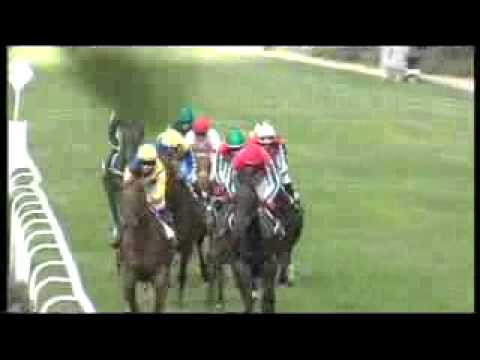 CENA MĚSTA KARLOVY VARY