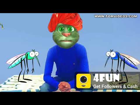 Cat Tiking funny video 2017