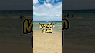 Moreton Island Queensland #cruise #cruisetour #travelvlog #travel #splendor #carnival #moretonisland