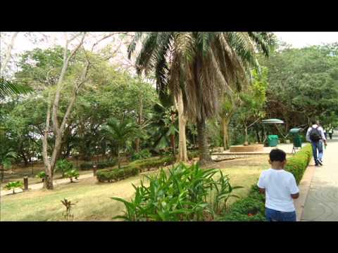 VIDEO,  AQUI ESTOY YO (JOEL MANJARRES)