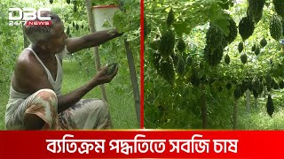 বিষমুক্ত সবজি বিপ্লব চুয়াডাঙ্গায়