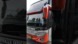 Download lagu BUS ROSALIA INDAH MELINTAS LANGSUNG DI AGEN BUS PONDOK PINANG || ROSALIA INDAH JETBUS 3 HDD HINO RK mp3