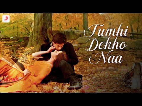 Tumhi Dekho Naa | Sonu Nigam, Alka Yagnik | Kabhi Alvida Na Kehna | Shah Rukh Khan | Love Songs