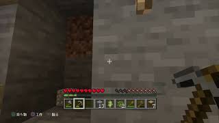 [マイクラ]すらくんの配信part1