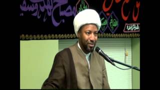preview picture of video '04 - Shaykh Jafar Muhibullah - Muharram 1435 (2013)'