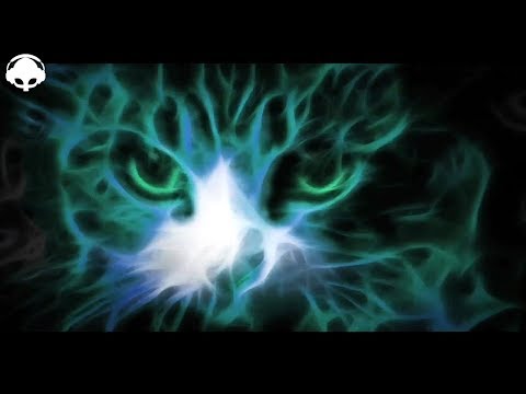 Zencats - Afrocat / Tribal Trance Mix