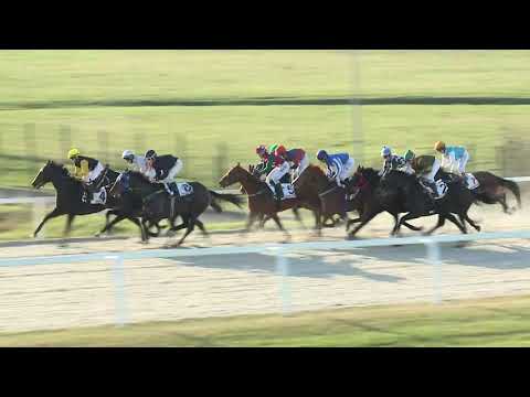 2019.11.24. 06. futam - KÖNIG RÓBERT EMLÉKVERSENY - VIGASZ DÍJ (II.kat.) (szintetikus pálya)