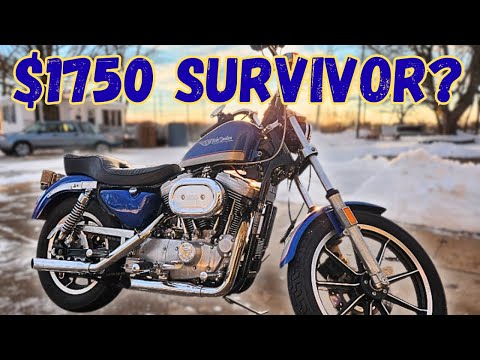 Fixing up a “Mint” 1986 Harley Davidson Sportster XLH1100