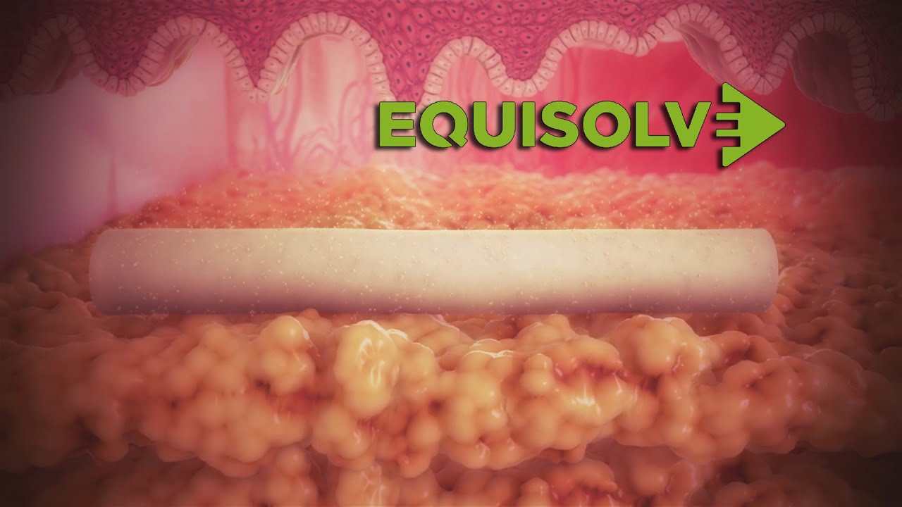 Scientific Animations | Medical Animations | Scientific Illustrations