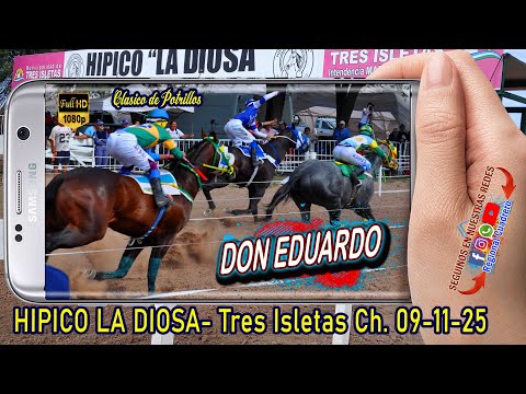 DON EDUARDO-Clasico de Potrillos- Hipico la Diosa- Tres isletas Ch. 09.11.254