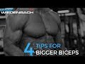 Bigger biceps - 4 tips