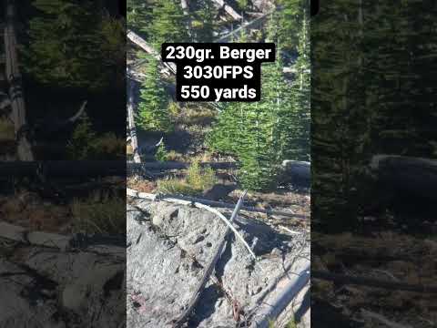 Why Berger Bullets are our choice