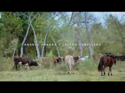 Anduve Corriendo un Toro Angelo Aranda Y Lázaro Caballero Video Oficial