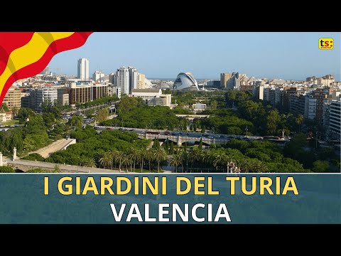 I Giardini del Turia | Un'Oasi Verde nel Cuore di Valencia!