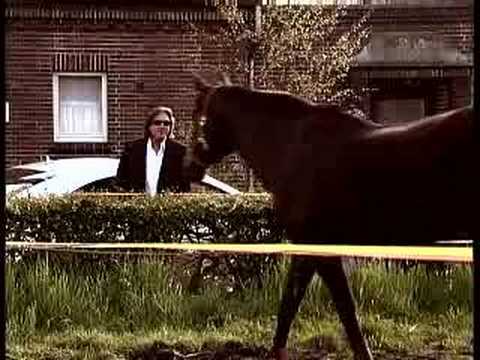 Chip Hawkes - Not my Child - Brandnew Song