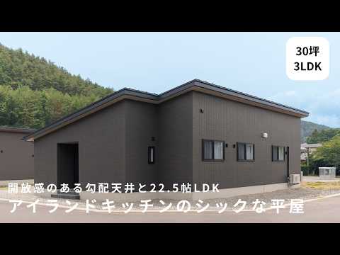 開放感のある勾配天井と22.5帖LDK アイランドキッチンのシックな30坪の平屋