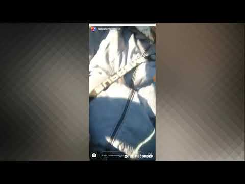 gallagher flexboy r1Q17 stories