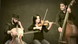 Metrostrings - Devrim Yürüyüşümüz Sürüyor