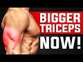 3 Triceps Exercises For Skinny Guys / HARDGAINERS! (TRICEP WORKOUT FOR MASS)