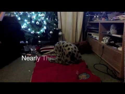 Човеко, нямам нужда от теб