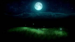 Firefly Meditation