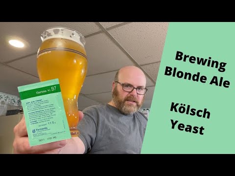 Brewing an American Blonde Ale with Fermentis K-97 Yeast!