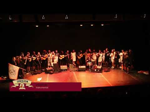 XIX CONCILIUM | Afrodituna