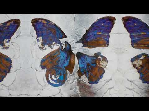 Shygirl x Arca - Unconditional (Official Visualiser)