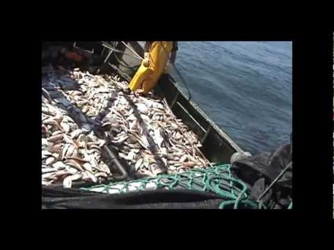 PESQUERO LAVALLEJA EN RIO DE LA PLATA