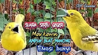 Download lagu SUARA SIRTU PIKAT PALING AMPUH SEMUA SIRTU JAMIN LANGSUNG TURUN #sirtugacor@srfchannel3881 mp3