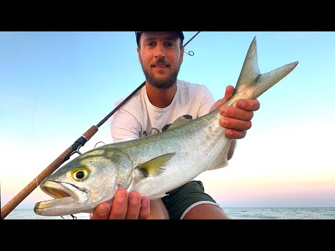 Fishing from the Beach! Topwater Lures and Jigs for Italian Autumn Predators [Leerfish, Bluefish]