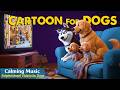 Cartoon For Dogs Dog TV For Dogs To Watch Home Alone Anti Anxiety Videos Relaxing Music For Dogs