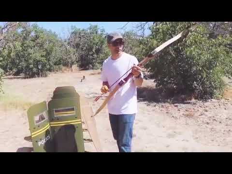 How many riots shield does it take to stop arrows# ☺