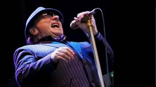 Van Morrison - When The Leaves Come Falling Down