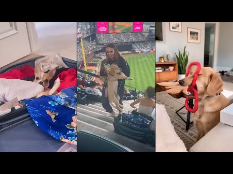 Fails of The Week  😂  EP:9  |  Funny Fails  | Fail Army