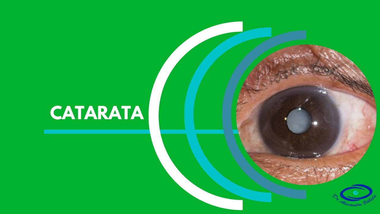 Alexandre Nogueira Villela Salgado-15