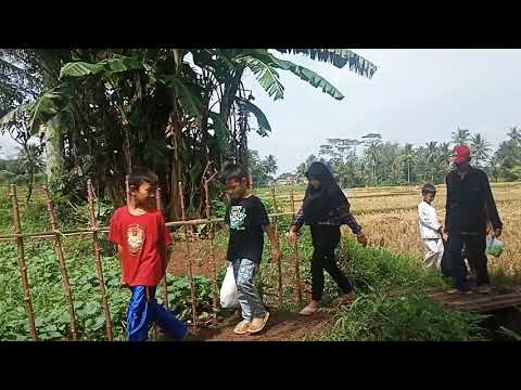 Otw Ngeliwet Anak kampung 7