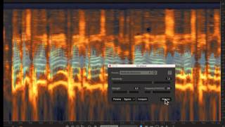 RX 5 Advanced Audio Editor