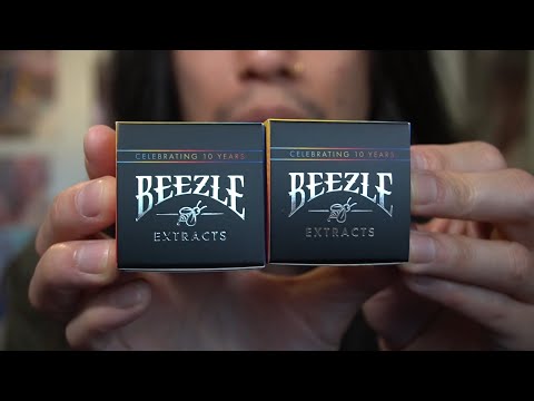 TRYING BEEZLE IN 2025