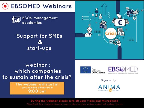 , title : 'Soutien aux PMEs et start-ups : quelles entreprises soutenir après la crise?'