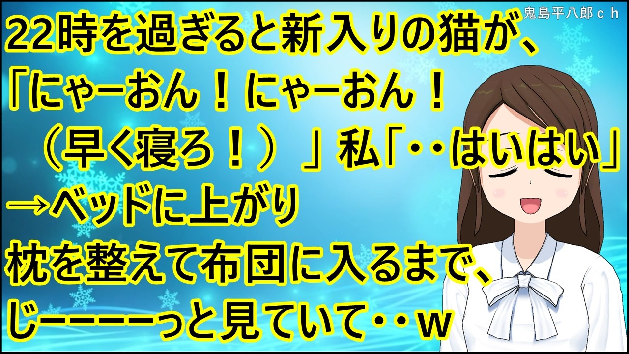 【ほのぼの】22時を過ぎると新入りの猫が、「にゃーおん！にゃーおん！（早く寝ろ！）」私「・・はいはい」→ベッドに上がり枕を整えて布団に入るまで、じーーーーっと見ていて・・ｗ
