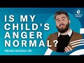 Is My Child S Anger Normal Child Mind Institute